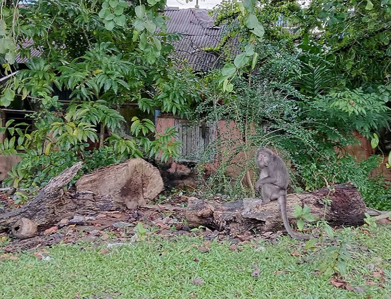 Sisters Island Wildlife Sanctuary
